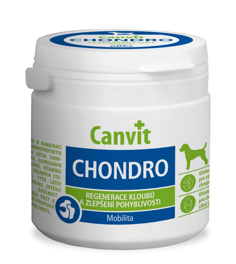 chondro