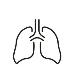 Respiratory