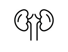 Renal